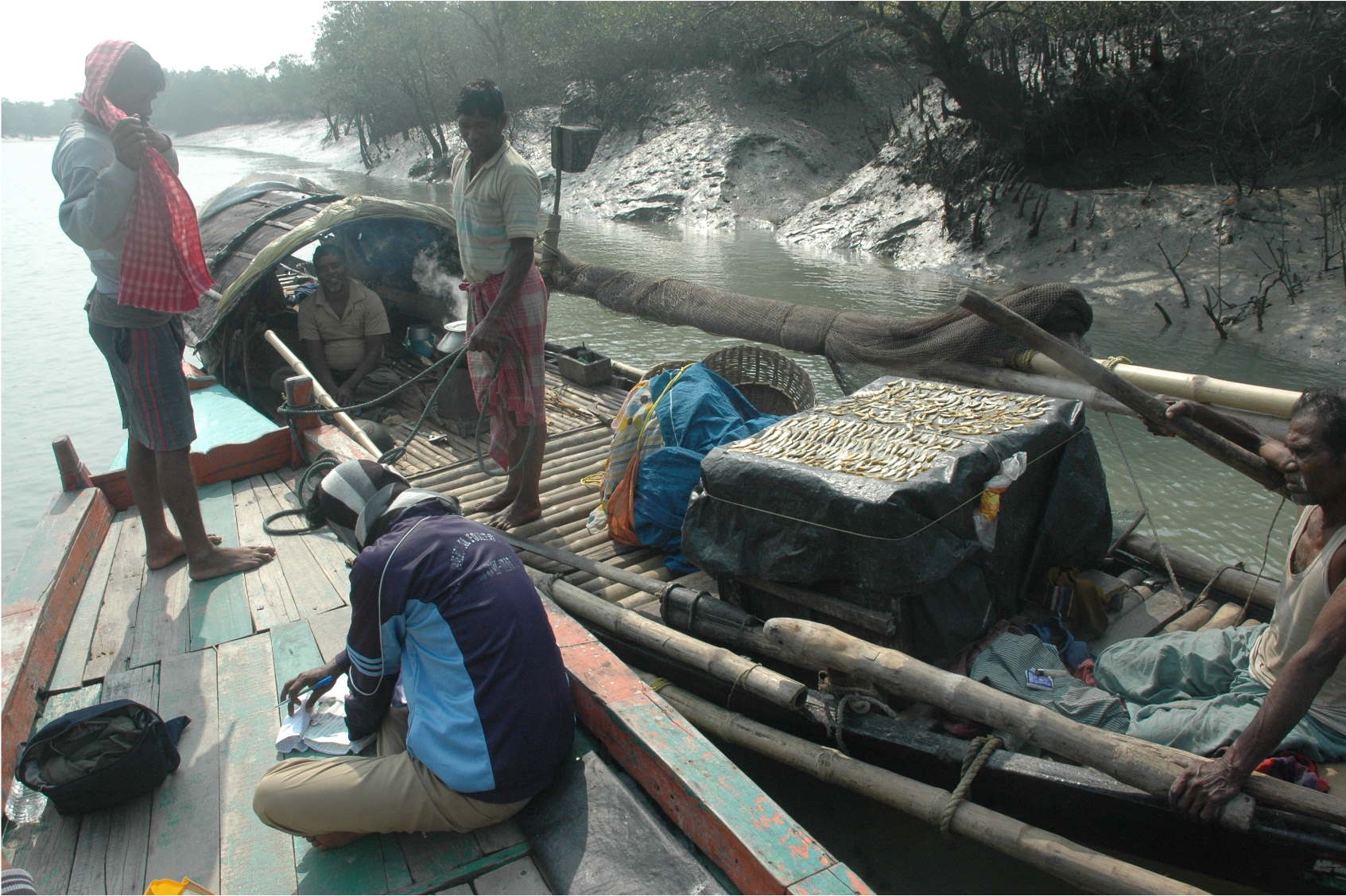 Indian fisherman. editorial photography. Image of sundarban - 14733187