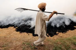 A Journal-Magazine on Contemporary Issues | The India Forum