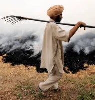 A Journal-Magazine on Contemporary Issues | The India Forum