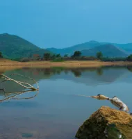 A Journal-Magazine on Contemporary Issues | The India Forum