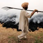 A Journal-Magazine on Contemporary Issues | The India Forum